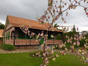 blumenau saídas de florianópolis